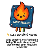Alev Sensörü - Görsel 5